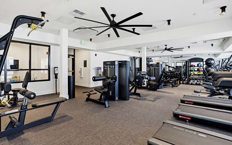 A state of the art fitness center in the clubhouse