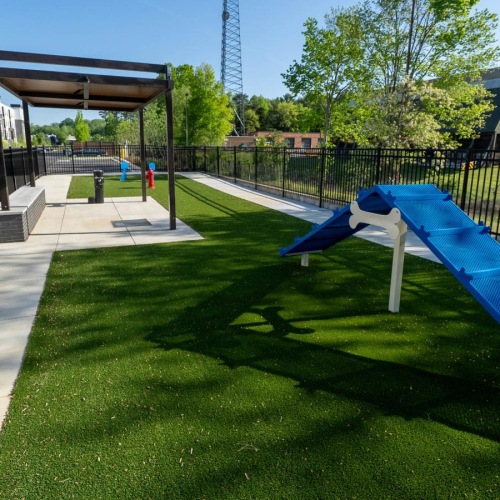 a fenced-in dog park